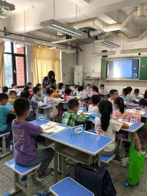積極組織課后服務(wù)，讓教育更有溫度——一年級課后延時(shí)服務(wù)活動(dòng)紀(jì)實(shí)與教育咨詢服務(wù)